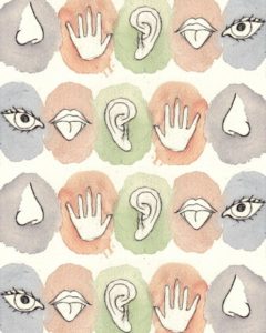 Graphic images depicting the senses