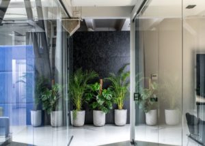 Office walls made of glass inside a modern workplace